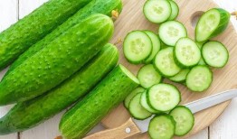 朝陽吃瓜網,揭秘娛樂圈最新熱點，帶你領略明星幕后故事