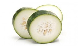 今日吃瓜51,揭秘娛樂圈最新熱點事件