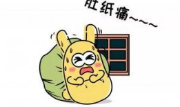 朝陽吃瓜群眾網,揭秘娛樂圈幕后故事，帶你領略不一樣的娛樂圈