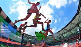 體育圈很亂天涯,亂象背后的真相與反思