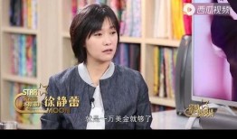 明星黑料ppt,PPT背后的真相與反思