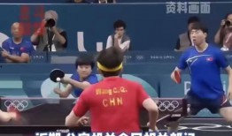 體育界飯圈文化,激情與理性的交織