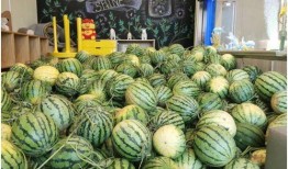 今日吃瓜官網,揭秘娛樂圈最新熱點，帶你暢游八卦海洋