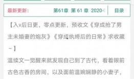 v1小說,穿越時(shí)空的奇幻冒險(xiǎn)之旅