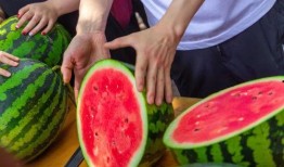 今日吃瓜51,揭秘娛樂圈最新熱點事件