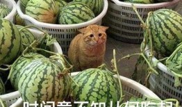 52吃瓜爆料免費吃瓜視頻,免費暢享熱門吃瓜視頻盛宴