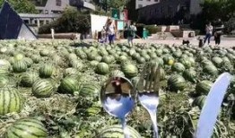 朝陽吃瓜群眾,揭秘京城街頭的熱辣話題與趣味生活