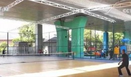 體育圈的天花板,巔峰時刻的輝煌與挑戰