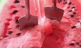 今日吃瓜感悟,品味人間百態(tài)