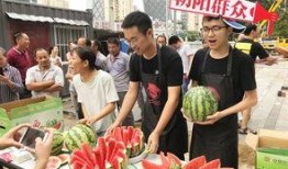 朝陽吃瓜群眾網,揭秘娛樂圈幕后故事，帶你領略不一樣的娛樂圈