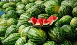 吃瓜網(wǎng)官網(wǎng)