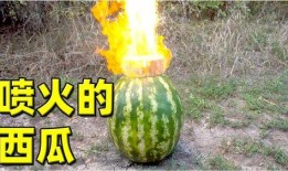 熱門(mén)大瓜,熱門(mén)大瓜背后的驚人真相