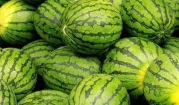 吃瓜--今日大賽完整版,今日大賽精彩瞬間大盤點