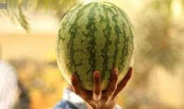 吃瓜大瓜事件,揭秘網(wǎng)絡(luò)輿論狂歡背后的真相