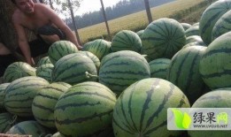 懷仁網(wǎng)紅大瓜最新消息,揭秘背后驚人真相，網(wǎng)友熱議不斷！