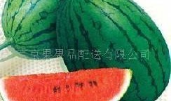 吃瓜網(wǎng)51官網(wǎng)版,熱門資訊一網(wǎng)打盡