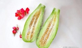 懷仁最近網紅大瓜