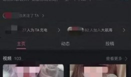 網(wǎng)紅大瓜直播,一場娛樂與真相的碰撞