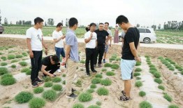 瓜瓜基地,綠色生態(tài)農(nóng)業(yè)的璀璨明珠