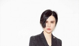 明星黑料社,明星黑料社獨家爆料，真相與謠言的較量