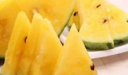 黑瓜吃料網(wǎng),揭秘美食背后的故事與營(yíng)養(yǎng)秘密