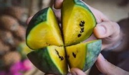 朝陽號外官網(wǎng)免費吃瓜,免費吃瓜盛宴，暢享夏日清涼！