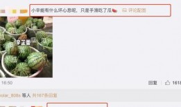 吃瓜視頻在線,帶你領(lǐng)略網(wǎng)絡(luò)娛樂新潮流