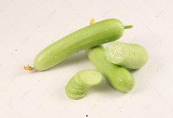 網紅熱瓜,揭秘網絡紅人的崛起與爭議