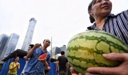 最新進展 朝陽吃瓜群眾網,吃瓜群眾網揭秘事件進展全解析