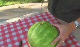 今日吃瓜感悟,品味人間百態(tài)