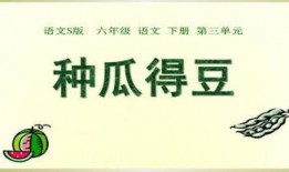 吃瓜ppt,吃瓜群眾視角下的PPT盛宴解析