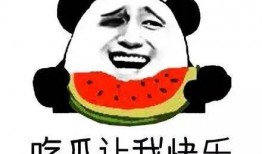 朝陽吃瓜群眾一枚的微博,揭秘微博背后的熱點風云