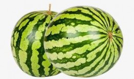 52每日大瓜視頻,揭秘娛樂圈幕后故事，帶你領(lǐng)略明星真實生活