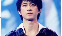 朝陽黑料,揭開真相背后的迷霧