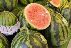 每日吃瓜,輕松掌握娛樂圈新鮮事