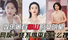 娛樂圈是我的,我的傳奇征程