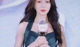 明星黑料網站視頻迪麗熱巴,真相與謠言的交織