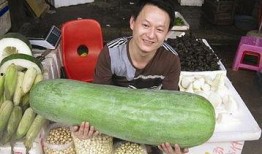 52每日大瓜視頻,揭秘娛樂圈幕后故事，帶你領略明星真實生活