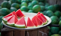 吃瓜網(wǎng)官網(wǎng)