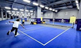 體育圈的天花板,巔峰時刻的輝煌與挑戰