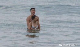 體育圈很亂天涯,亂象背后的真相與反思