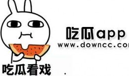 今日吃瓜是哪個app,探索熱門社交APP的魅力