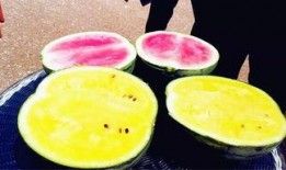 52爆料吃瓜網,揭秘娛樂圈最新熱點事件