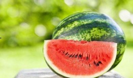 吃瓜網(wǎng)官網(wǎng)