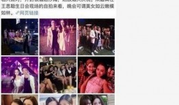 明星黑料網(wǎng)站視頻免費(fèi)觀看,免費(fèi)觀看獨(dú)家視頻，真相盡在掌握