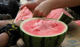 51朝陽(yáng)吃瓜,揭秘娛樂圈最新吃瓜事件，帶你領(lǐng)略明星幕后故事