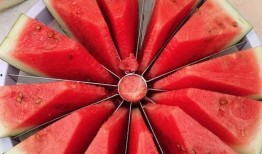 今日吃瓜--今日大賽,吃瓜群眾狂歡盛宴