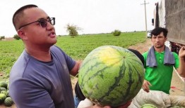 56吃瓜網(wǎng),揭秘娛樂圈最新熱點，帶你領略明星幕后故事