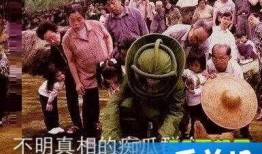 朝陽(yáng)吃瓜群眾什么意思