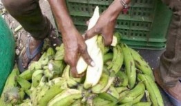 51朝陽吃瓜 反差,吃瓜群眾背后的反差魅力